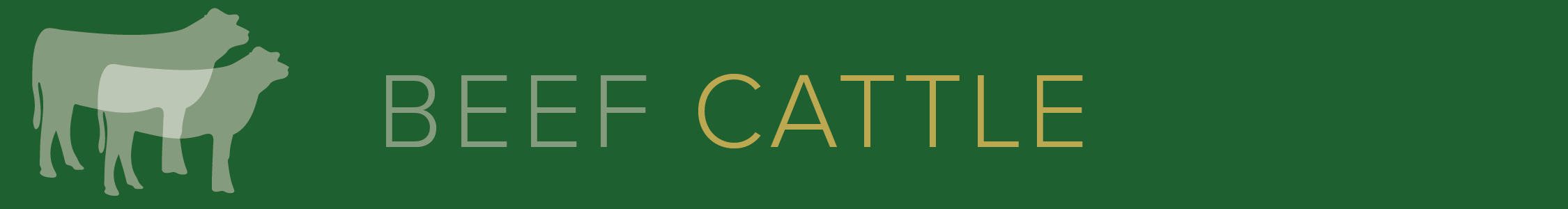 cattle banner-01-01.png thumbnail